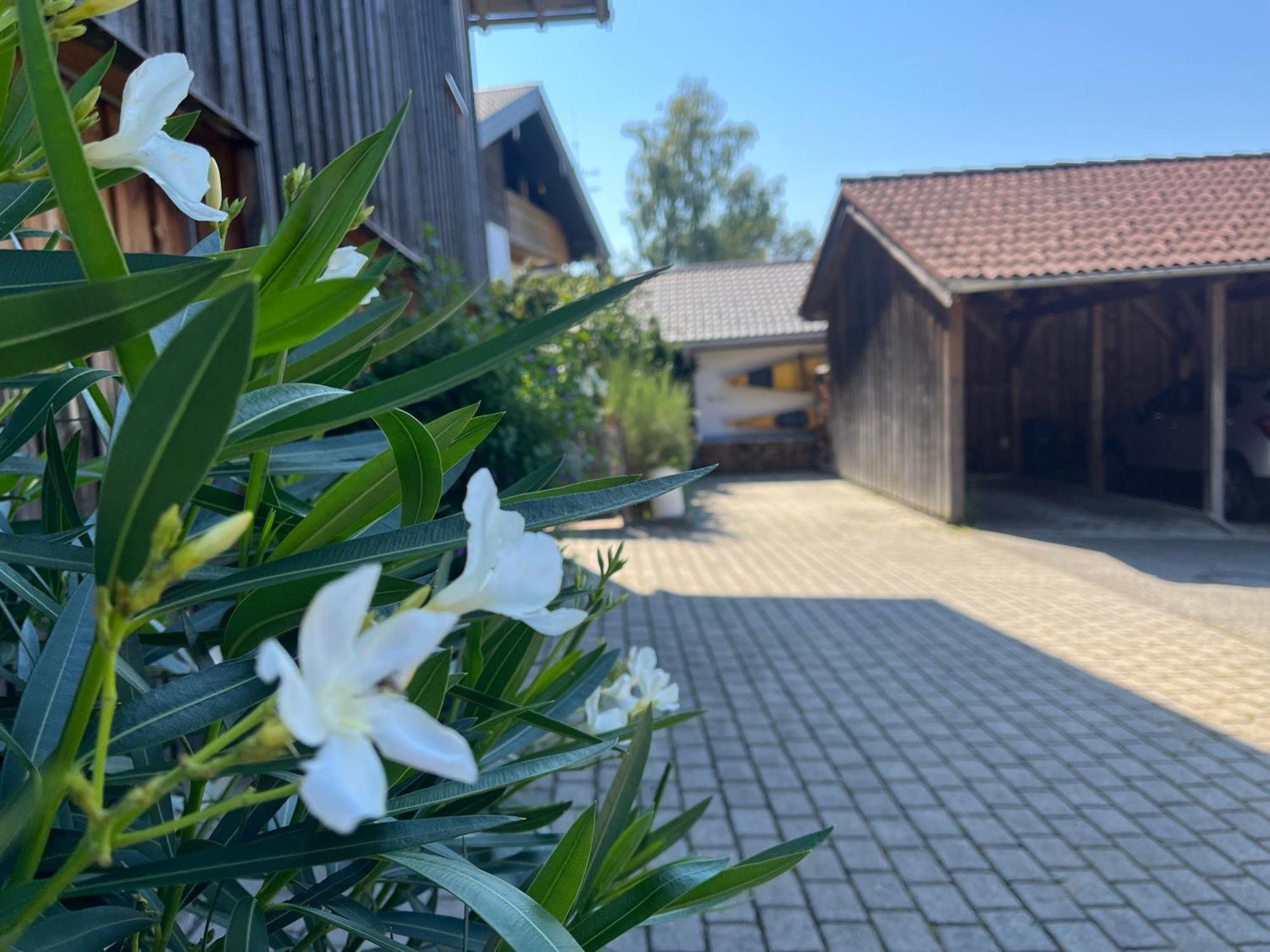 Apartment Wohlfuehlplatzl - Urgemuetlich & Ruhig Vogtareuth 外观 照片